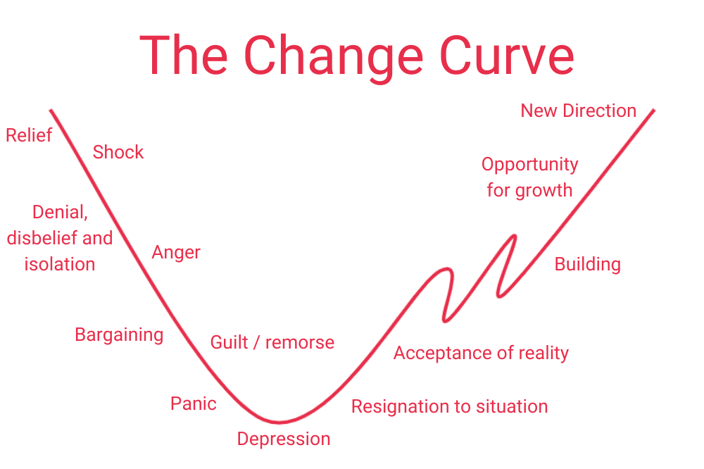 Zanzi - The change curve image